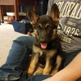 Entry image for Lacie