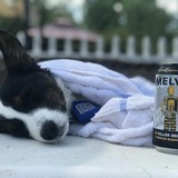 Entry image for Melvin