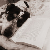 Entry image for Dude 