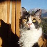 Entry image for Claire