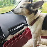 Entry image for Zuke