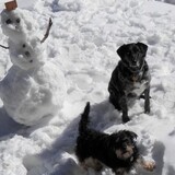 Entry image for Cindy & Skip