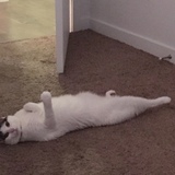 Entry image for Aspen