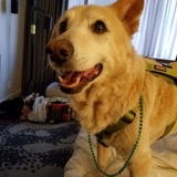 Entry image for Padrigh