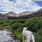 Entry image for Lucy van Beek