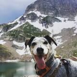 Entry image for Shaelee