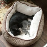 Entry image for Lizzie and Emma 