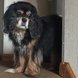 Entry image for Quincy