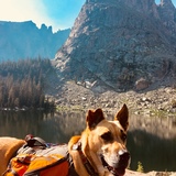 Entry image for Allie