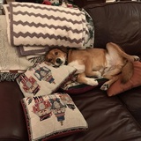 Entry image for Wally