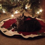 Entry image for Luigi