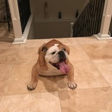 Entry image for Popeye