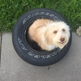 Entry image for Milly Mix-A-Doodle