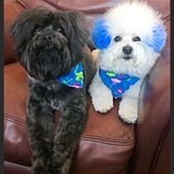 Entry image for Smokey and bandit 