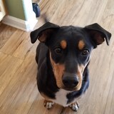 Entry image for Atlas