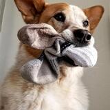 Entry image for Sir Scruffykins