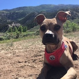 Entry image for Karma