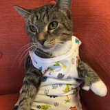 Entry image for Rafiki