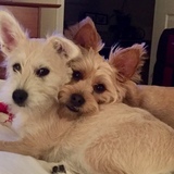 Entry image for Sadie & Forrest