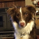 Entry image for Riley