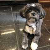 Entry image for Tevin