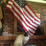 Entry image for Lizi