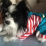 Entry image for Spike