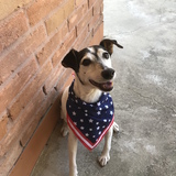 Entry image for Roscoe