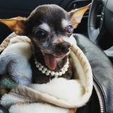 Entry image for Mrs Mrs