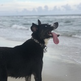 Entry image for Skylar May