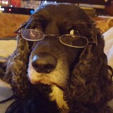 Entry image for Cota