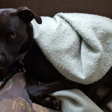 Entry image for Janie