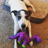 Entry image for Mikey