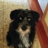 Entry image for Hogan