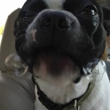 Entry image for Norman