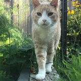 Entry image for Theodore (Teddy)