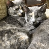 Entry image for Patty and Marcie