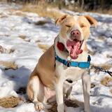 Entry image for Summer