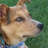 Entry image for Jack