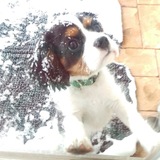 Entry image for Henley