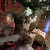 Entry image for Chloe