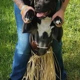 Entry image for Star