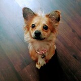 Entry image for Maria