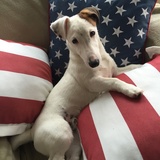 Entry image for Jackson