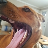 Entry image for Fenway