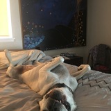 Entry image for Zoey