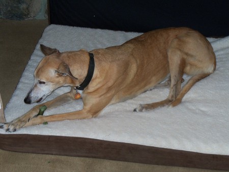 Entry image for TORRE. Clicking this image will show a larger photo