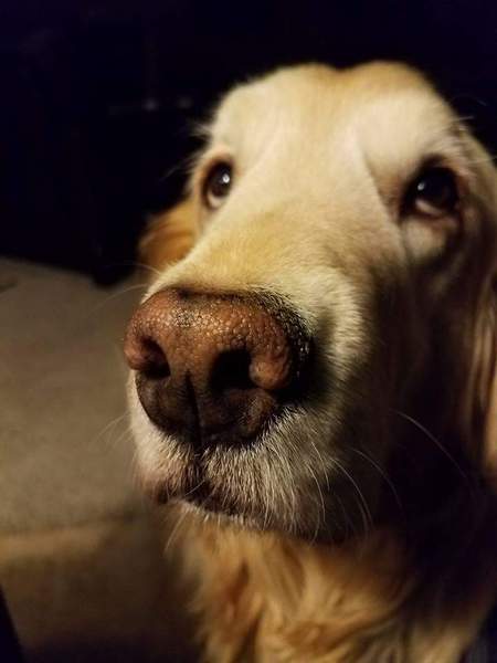 Entry image for Carly. Clicking this image will show a larger photo