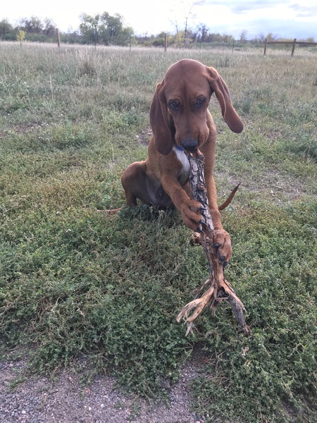 Entry image for Pittsburgh. Clicking this image will show a larger photo