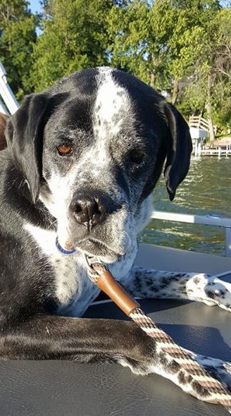 Entry image for Squish. Clicking this image will show a larger photo